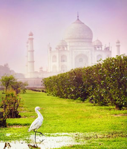 Agra-Day-Tour