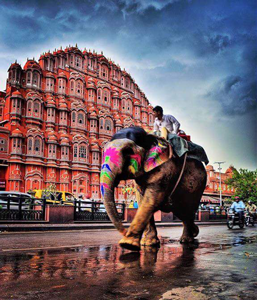 Jaipur-Day-Tour